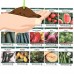 Heirloom Vegetable Garden Seed Collection &#8211; Assortment of 15 Non-GMO, Easy Grow, Gardening Seeds: Carrot, Onion, Tomato, Pea, More&#8230;   556554722